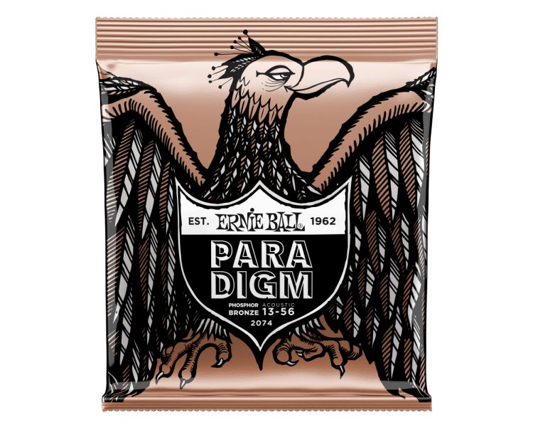 ERNIE BALL 2074 PARADIGM MEDIUM PHOSPHOR BRONZE