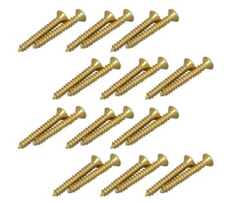 D`ANDREA BOTONES P/CORREA DORADO - 24 UN