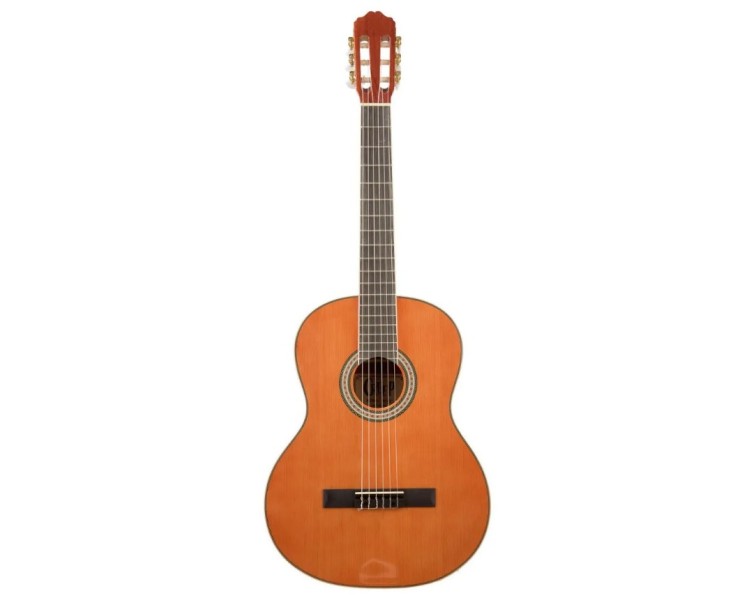 GUITARRA CLASICA  CREEP MC425 CON FUNDA