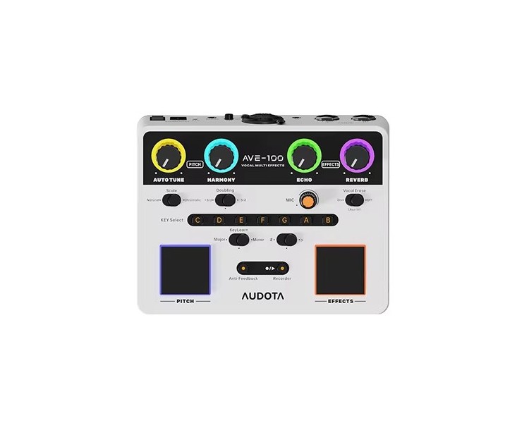 AUDOTA AVE-100 MULTIEFECTO VOCAL