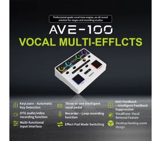AUDOTA AVE-100 MULTIEFECTO VOCAL