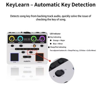 AUDOTA AVE-100 MULTIEFECTO VOCAL