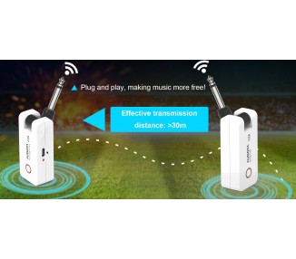 AUDOTA G24  SISTEMA INHALAMBRICO