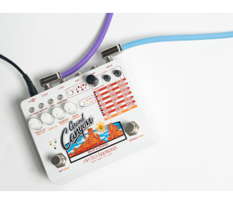 ERNIE BALL P06438 Flex Patch Cable 3in - Black - Single