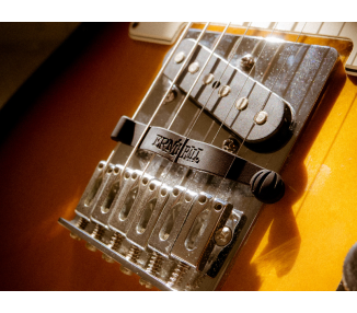 ERNIE BALL P09636 Mute Noodle Guitar