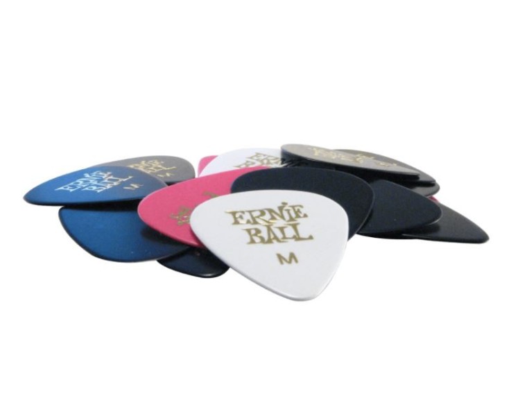 ERNIE BALL  9172  24 SIDEMAN M ASST